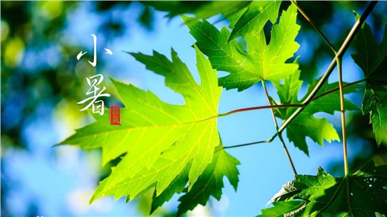 微信圖片_20220707083013.png 微信圖片_20220707083013.png